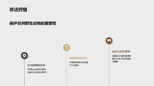 探索非洲野生动物之旅