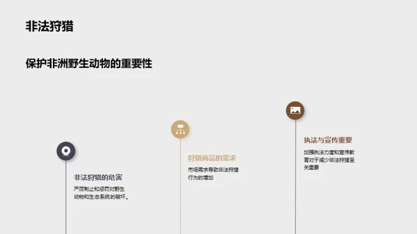 探索非洲野生动物之旅