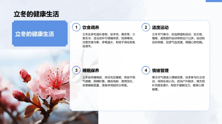 二十四节气立冬PPT模板