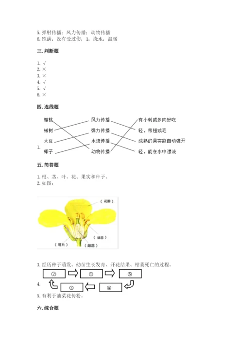 科学四年级下册第一单元植物的生长变化测试卷含完整答案（典优）.docx