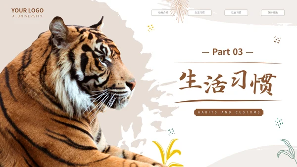 猎豹动物世界花豹科普介绍，豹子通用PPT模板