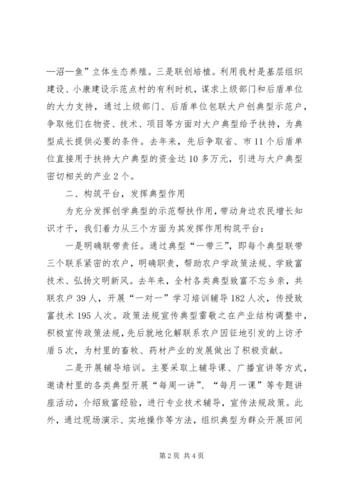 村党支部建设学习型村镇工作现场经验交流会经验材料 (2).docx