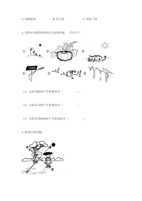 教科版小学二年级上册科学期末测试卷附参考答案（轻巧夺冠）.docx