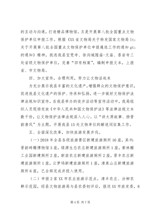 文物旅游局工作总结及XX年工作计划.docx