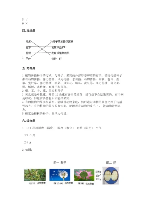 科学四年级下册第一单元《植物的生长变化》测试卷附参考答案【考试直接用】.docx