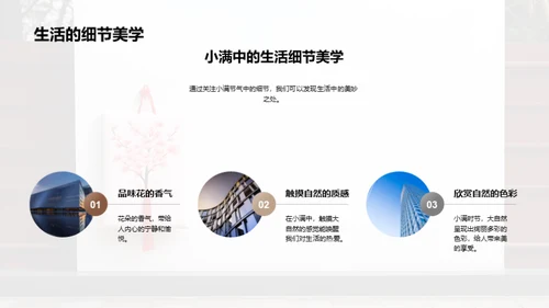 小满节气的生活韵味