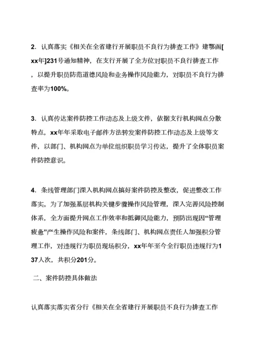 活动专项方案之案件防控整改专项方案.docx