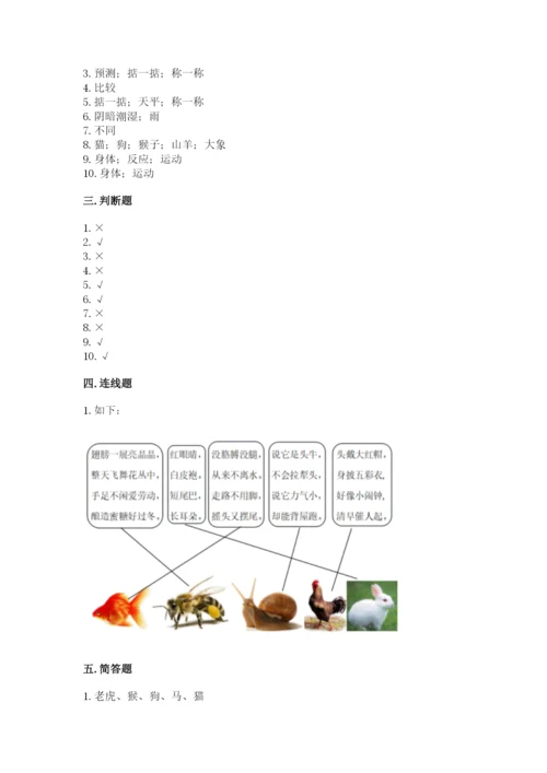 教科版一年级下册科学期末测试卷及参考答案（综合题）.docx