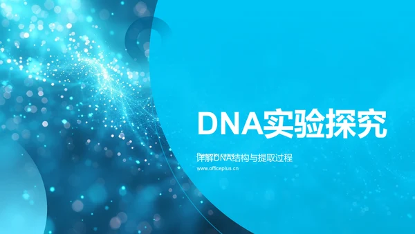 DNA实验探究