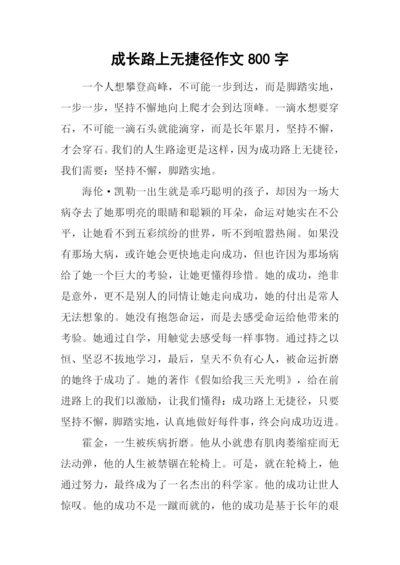 成长路上无捷径作文800字.docx