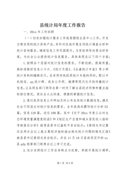 县统计局年度工作报告.docx