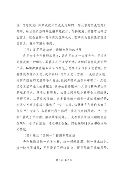 共赢养猪专业合作社典型材料.docx