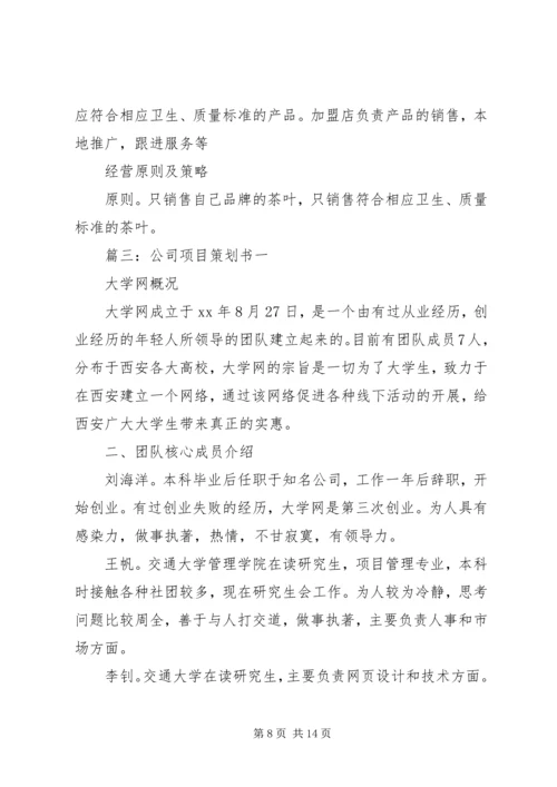 公司项目策划书.docx