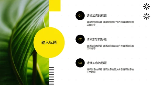 黄色极简大学生个人介绍PPT模板