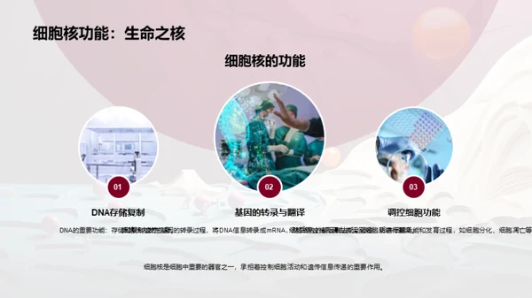 3D风生物医疗教学课件PPT模板