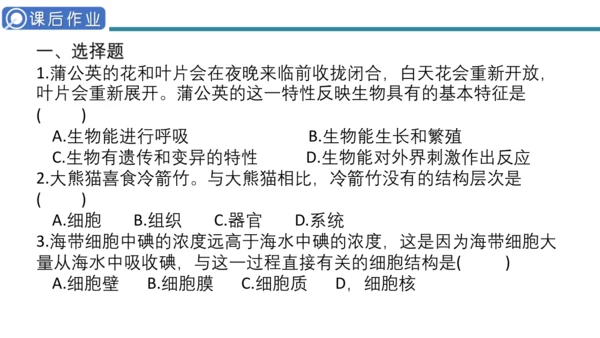 人教版生物七年级上册第一单元《生物与细胞》单元复习课件(共53张PPT)