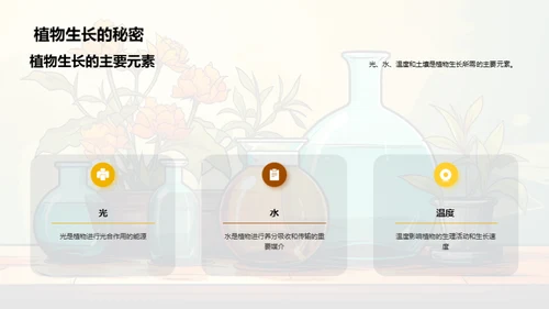 科学实验揭秘植物生长