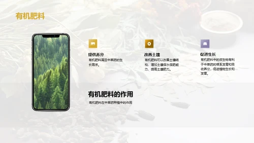 绿色农业：中草药种植新视角