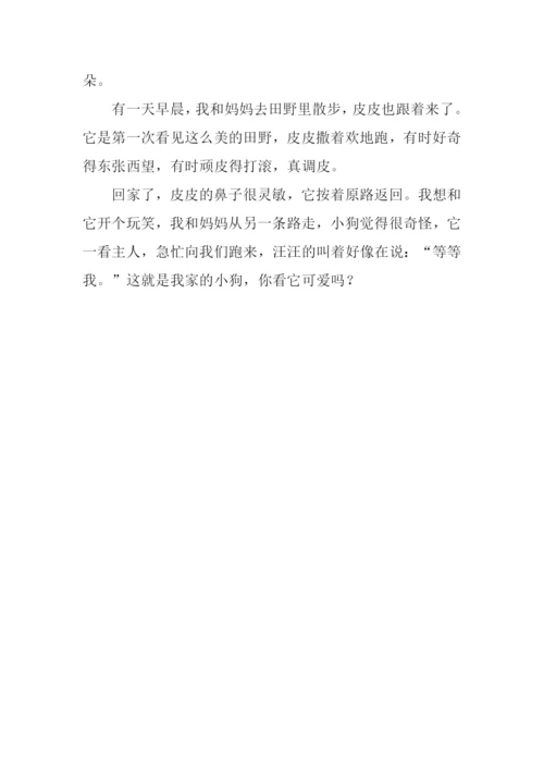 小动物作文150字.docx