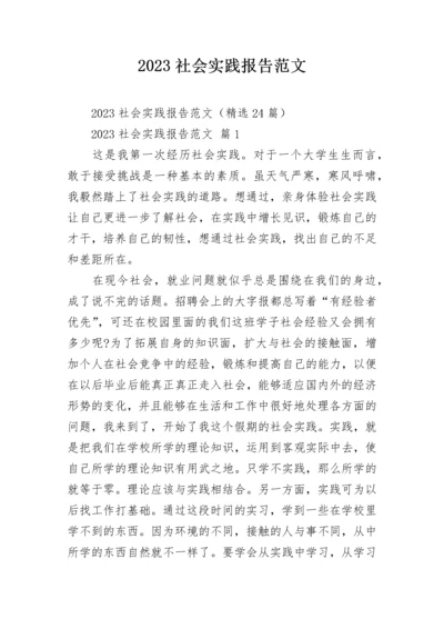 2023社会实践报告范文.docx