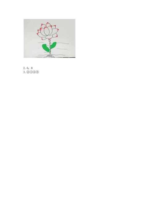 教科版一年级上册科学期末测试卷及参考答案（轻巧夺冠）.docx