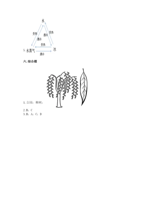 教科版一年级上册科学期末测试卷（实用）word版.docx