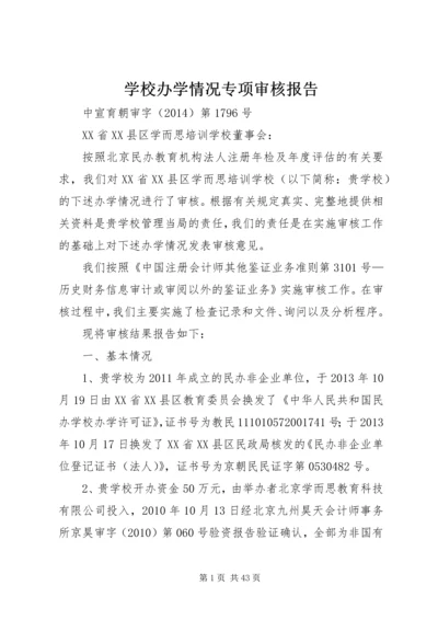 学校办学情况专项审核报告 (6).docx