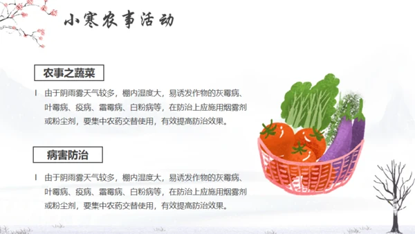 小寒冬天节气通用PPT模版