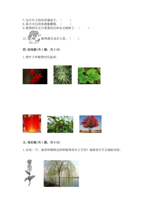 教科版一年级上册科学期末测试卷及答案（精品）.docx