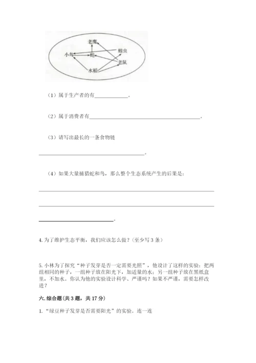 教科版五年级下册科学第一单元《生物与环境》测试卷精品【有一套】.docx