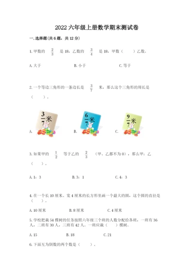 2022六年级上册数学期末测试卷审定版.docx