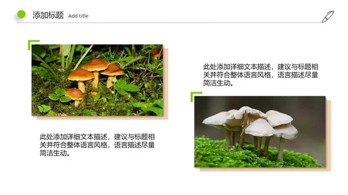 高清野生菌类动态PPT模板