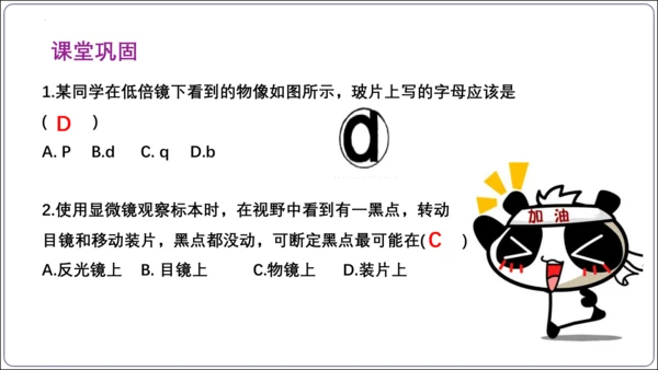 【2023秋人教七上生物期中复习考点梳理串讲+临考押题】第一章 细胞是生命活动的基本单位（串讲课件）