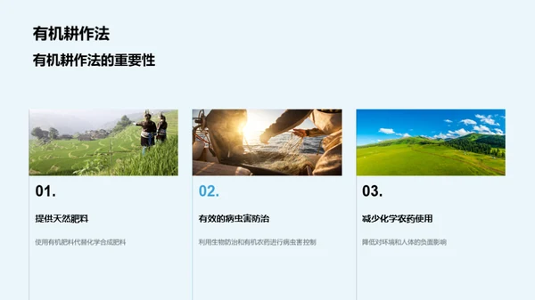 绿色农业新篇章