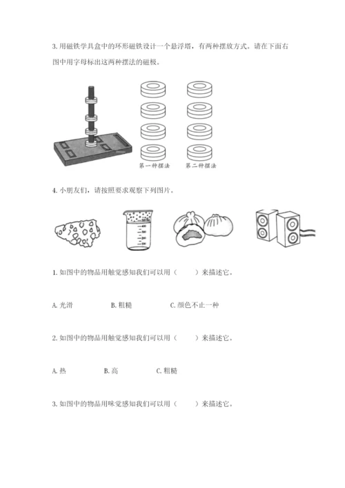 教科版二年级下册科学知识点期末测试卷带答案（巩固）.docx