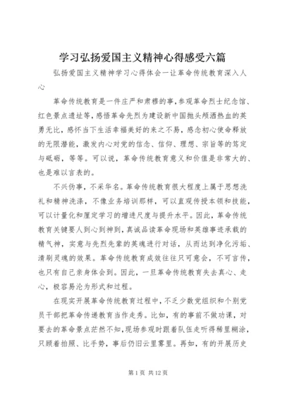 学习弘扬爱国主义精神心得感受六篇.docx