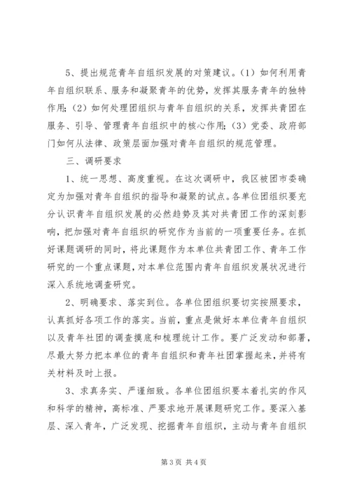 青年自组织调研指导方案.docx