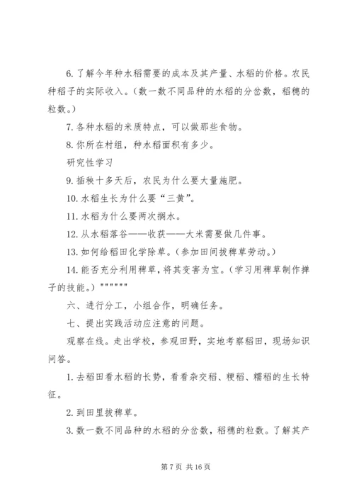 农村小学综合实践活动 (5).docx