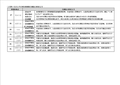 “EHS安全P序列任职资格等级标准   修改技能标准版1