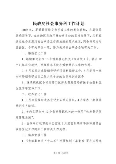 民政局社会事务科工作计划.docx