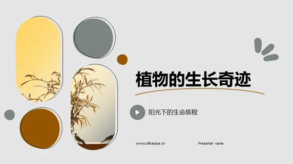 商务风教育培训教学课件PPT模板