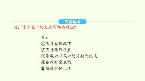 第7课 大雁归来 统编版语文八年级下册 同步精品课件
