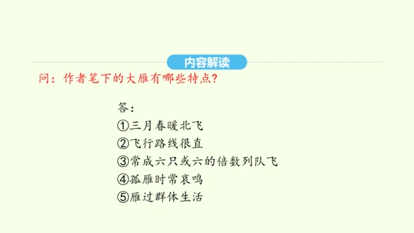 第7课 大雁归来 统编版语文八年级下册 同步精品课件