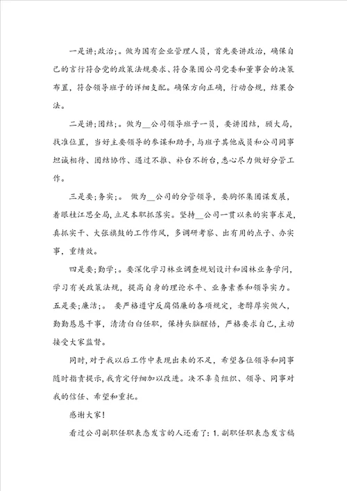 公司副职任职表态发言