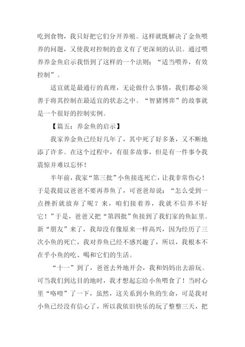 养金鱼的启示作文.docx