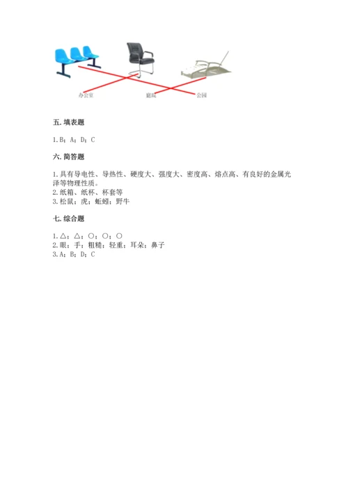 教科版科学二年级上册《期末测试卷》含答案（夺分金卷）.docx