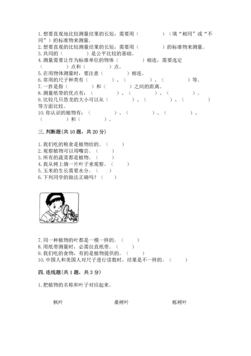 教科版科学一年级上册期末测试卷【考点精练】.docx