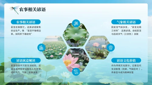 蓝色简约节日节气之夏至PPT模板