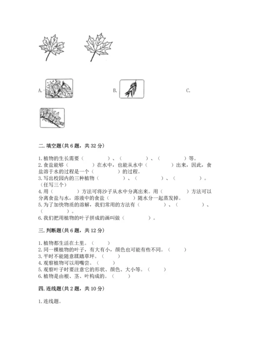 教科版科学一年级上册第一单元《植物》测试卷及参考答案【综合卷】.docx