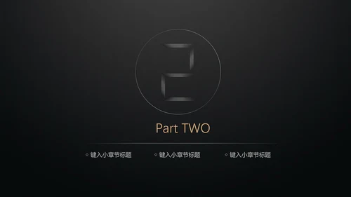 黑金轻奢商业计划书通用PPT模版